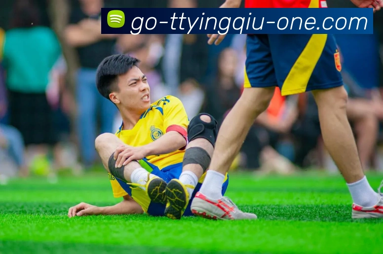 天天盈球发展历程